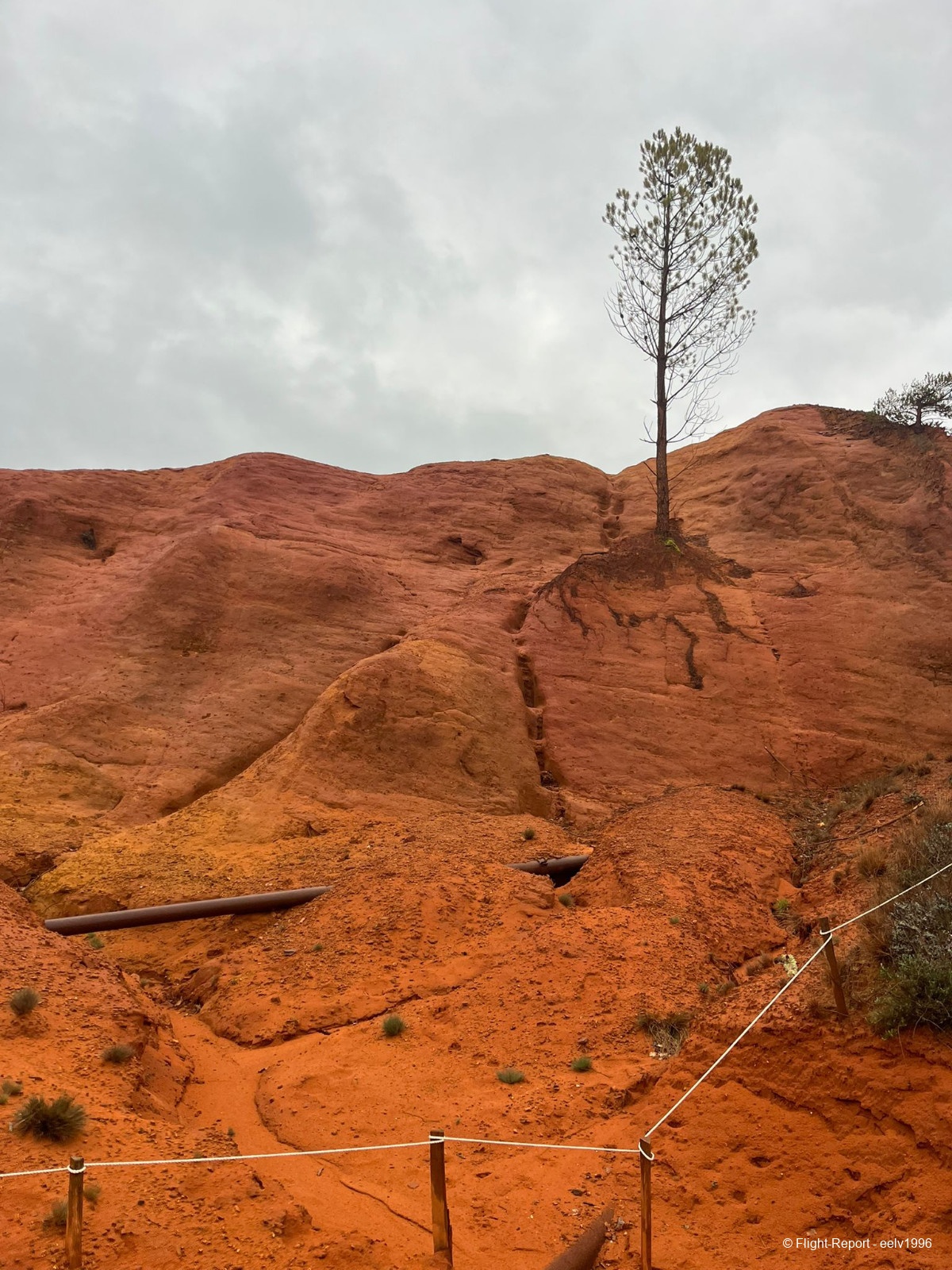 photo whatsapp-image-2026-04-15-at-1008524