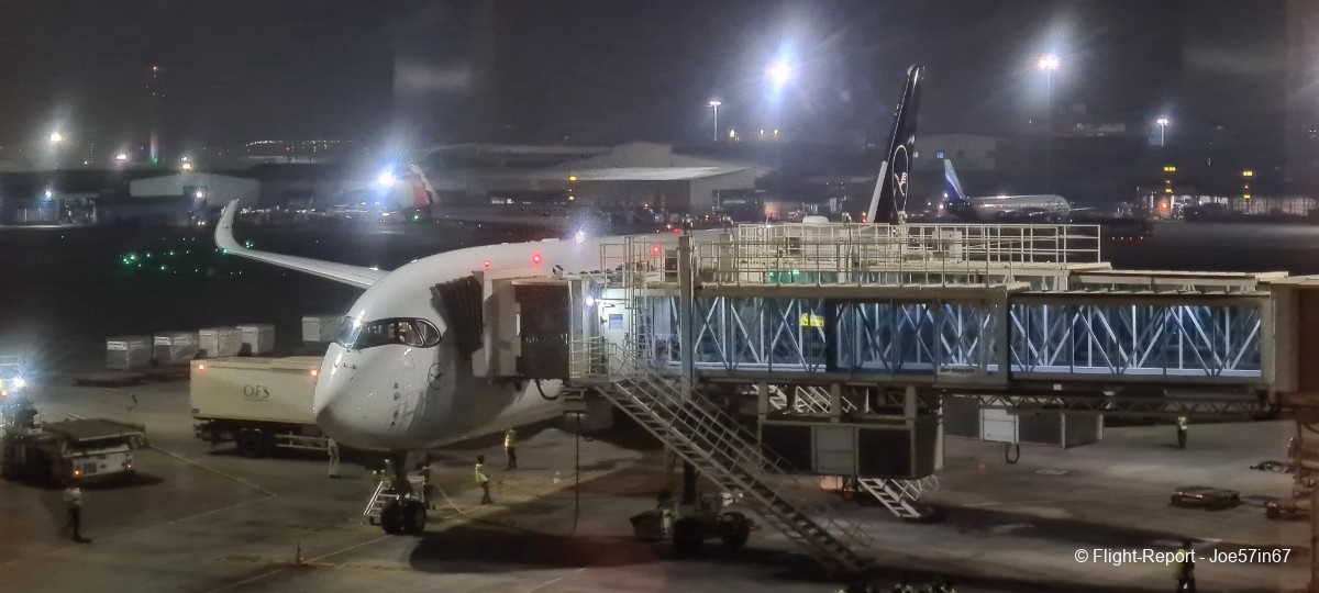 photo 20260125_001627