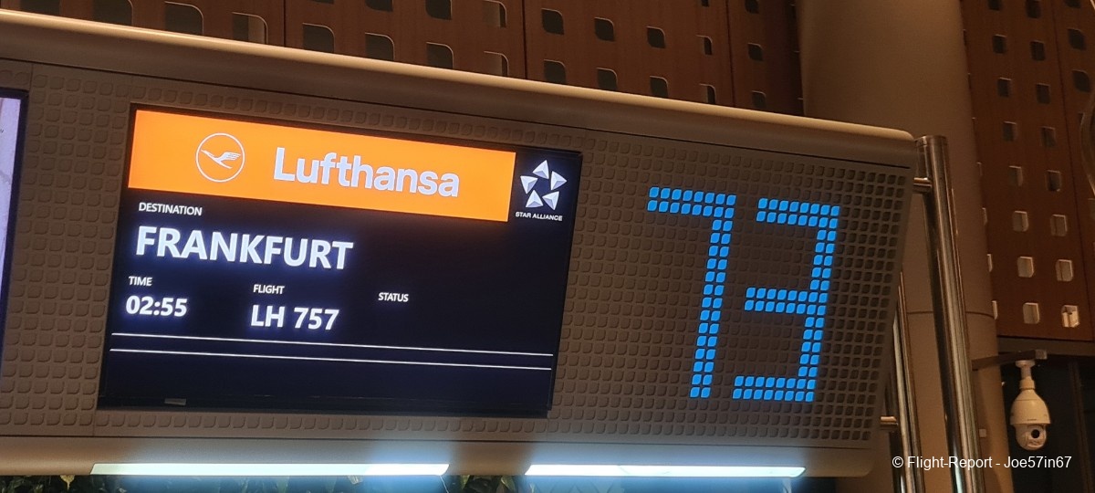 photo 20260125_014509