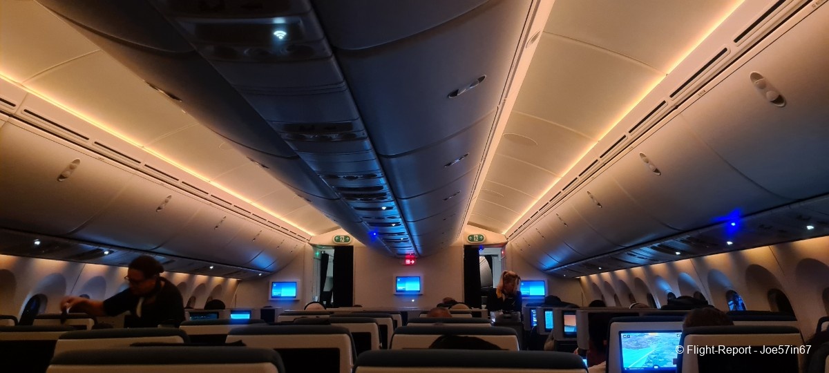 photo 20260125_033902