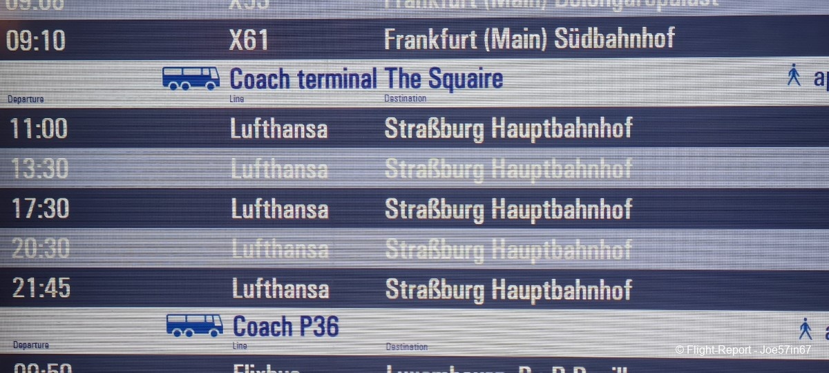 photo 20260125_083750