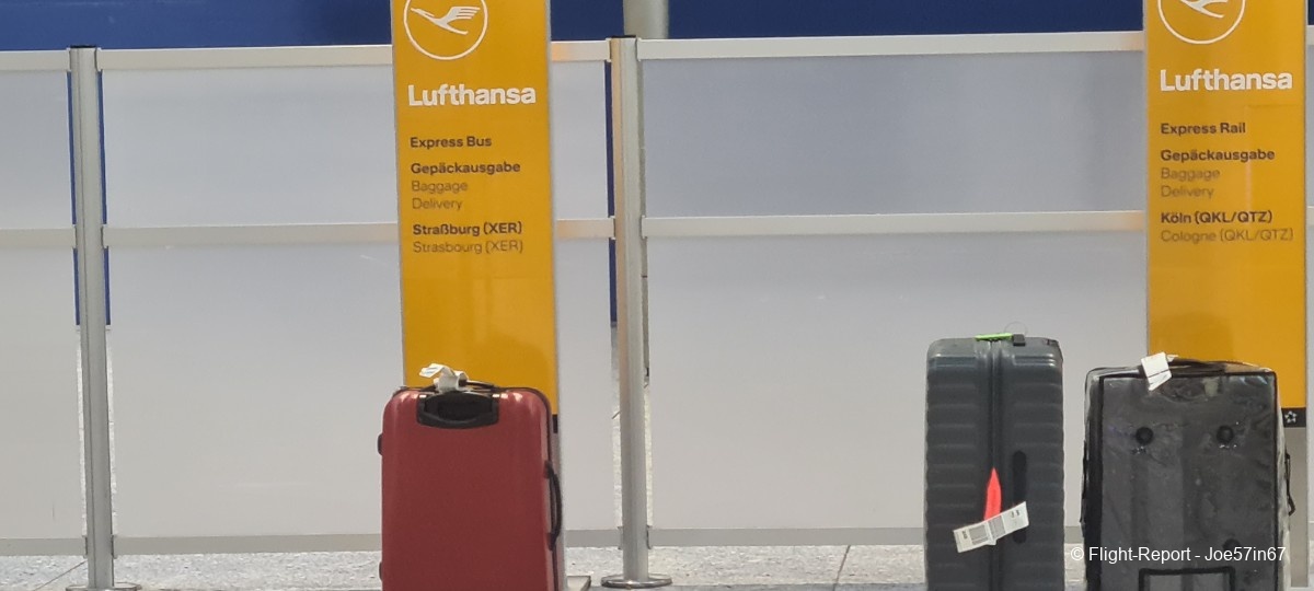 photo 20260125_084701