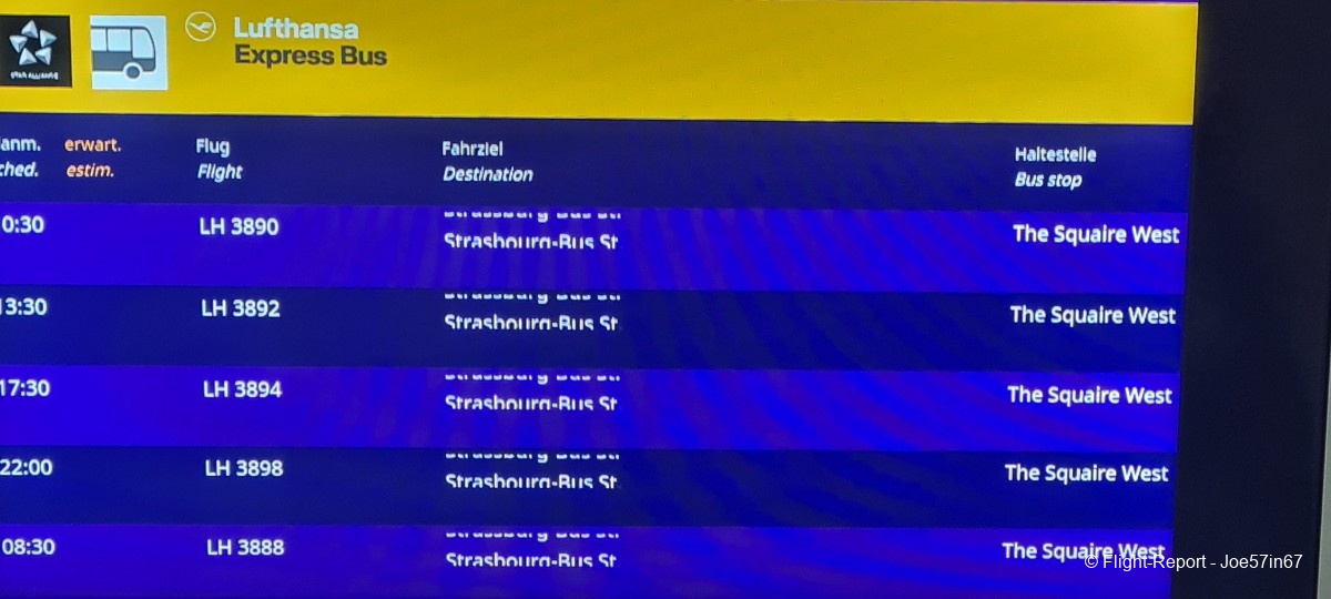 photo 20260125_084720