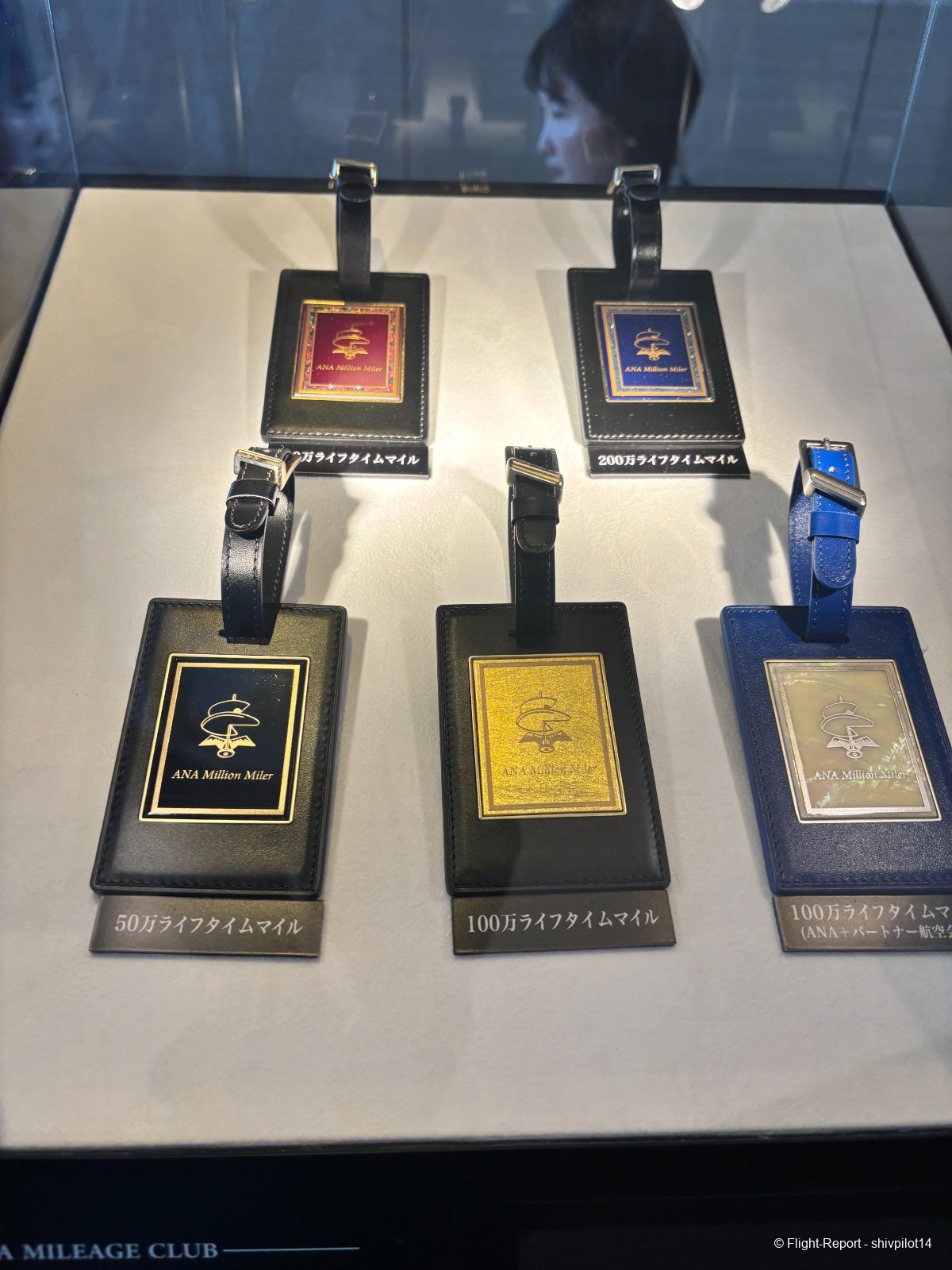 photo ana-luggage-tags