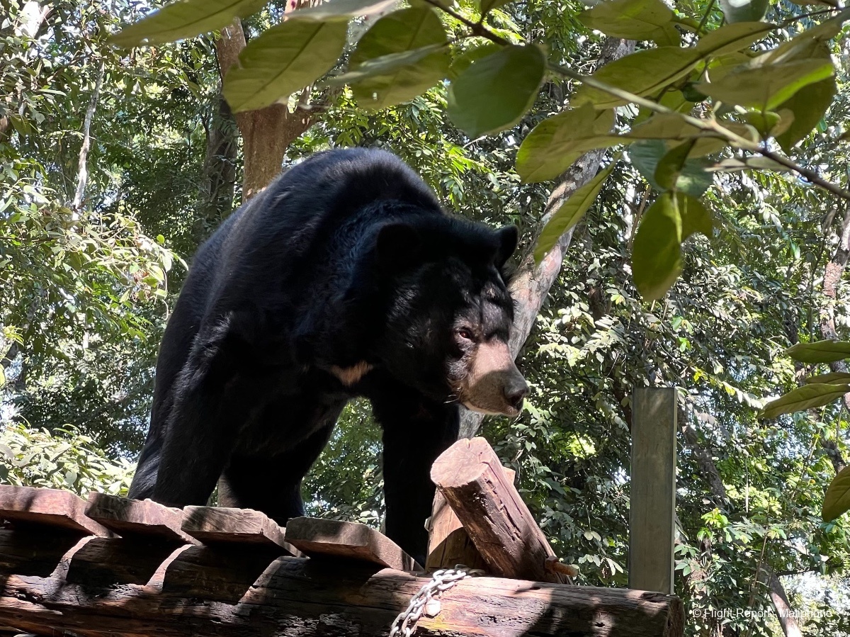 photo tempimagea0anzr