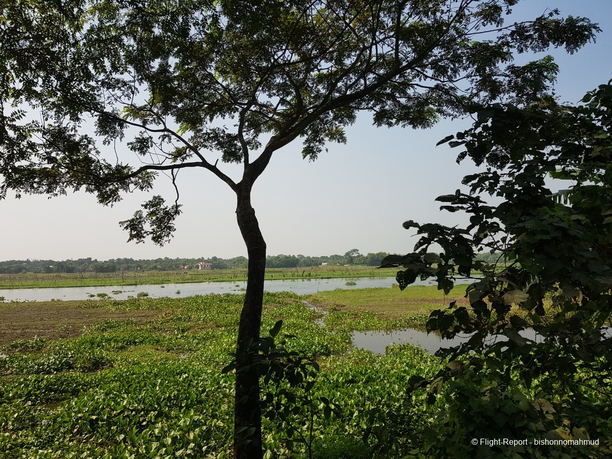 photo 20251113_120446