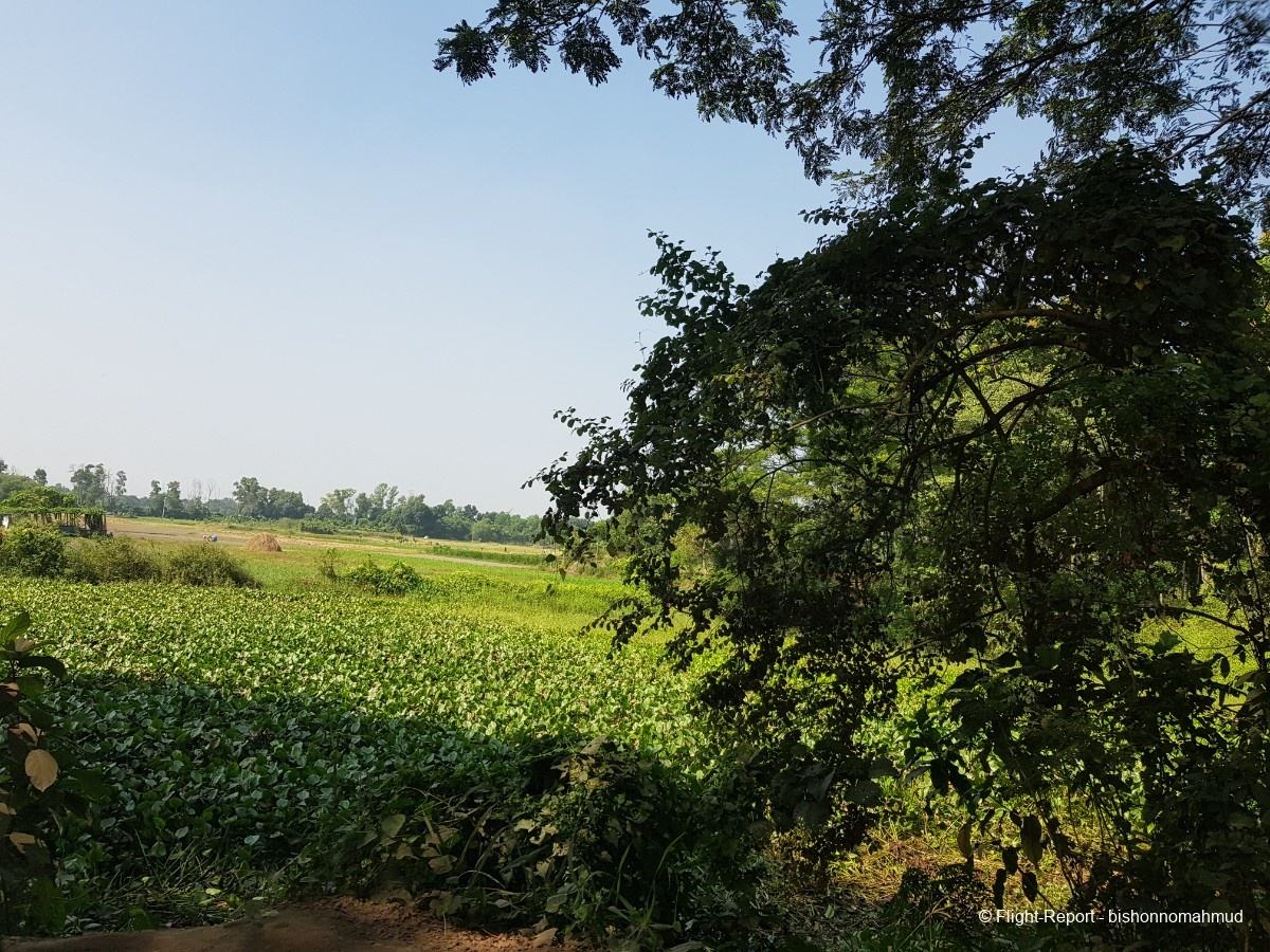 photo 20251113_120752