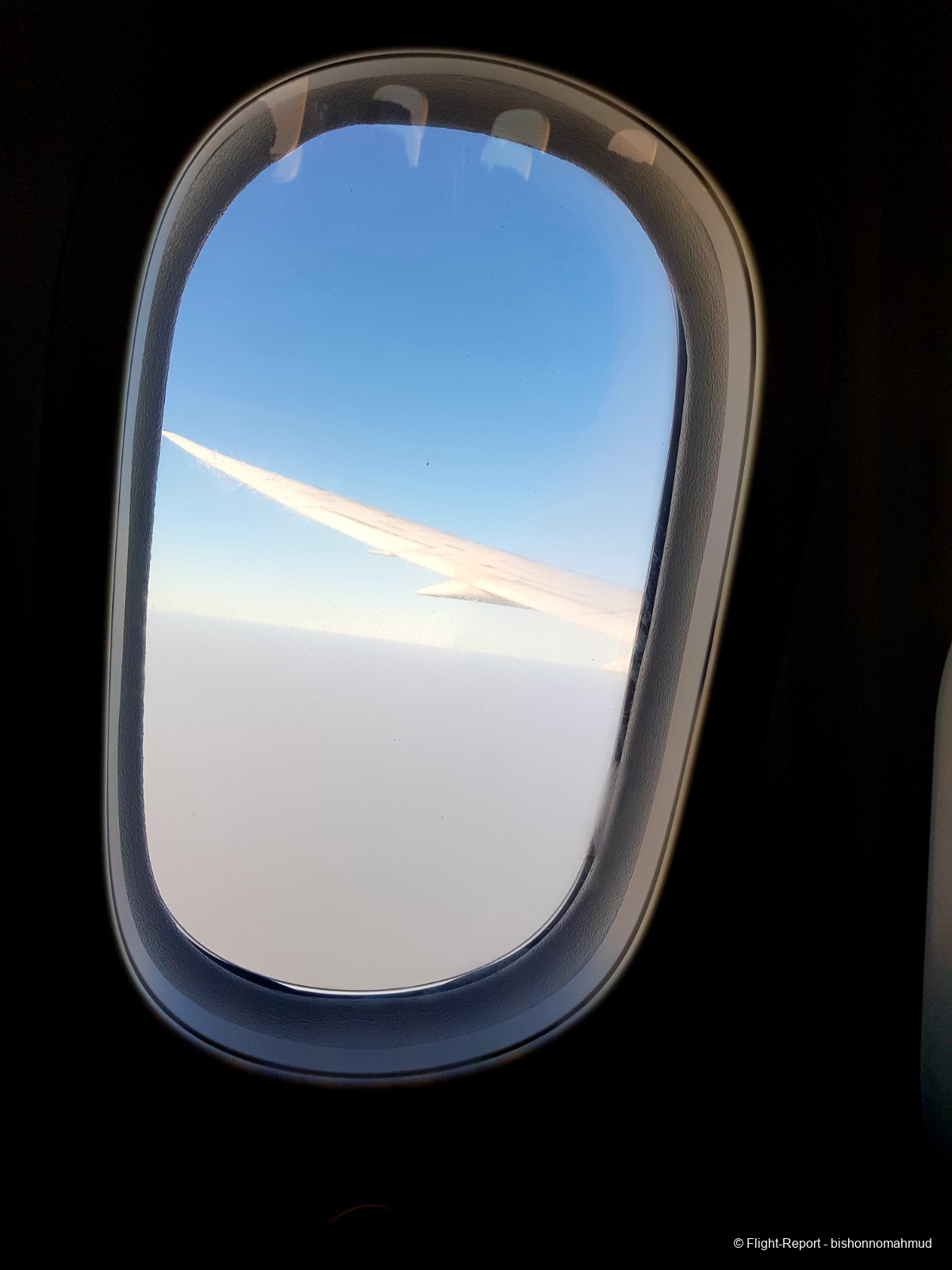 photo 20251113_143459