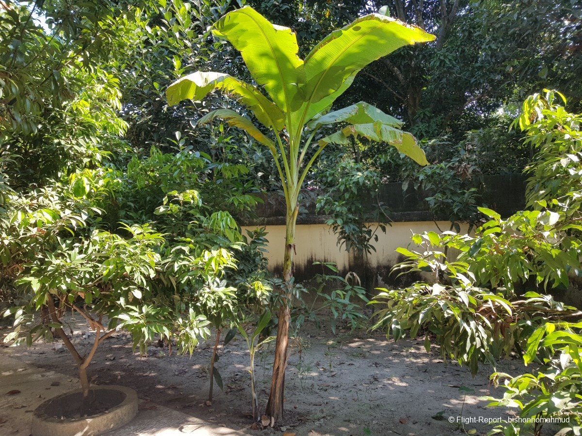 photo 20251115_103451