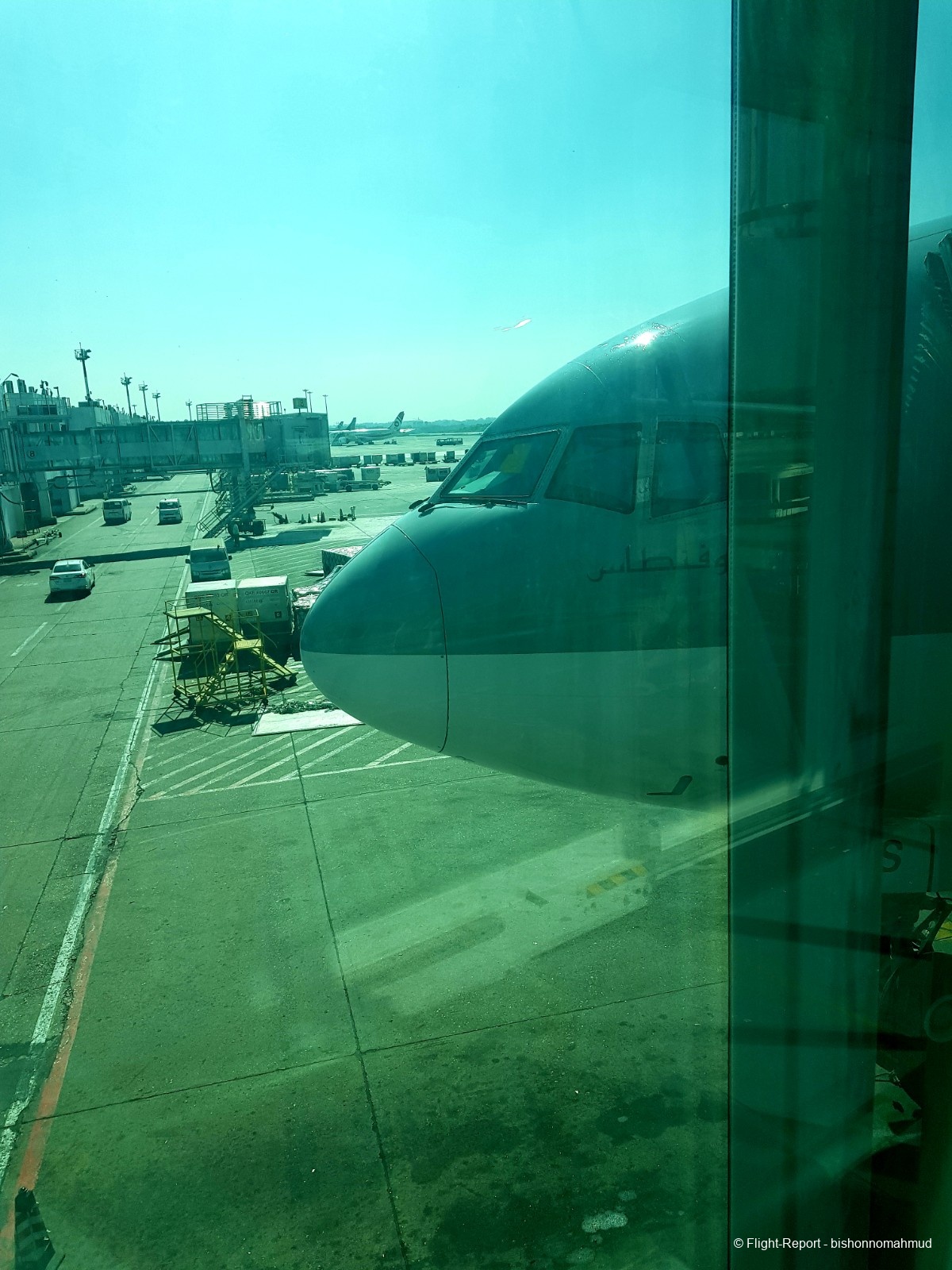 photo 20251117_115831