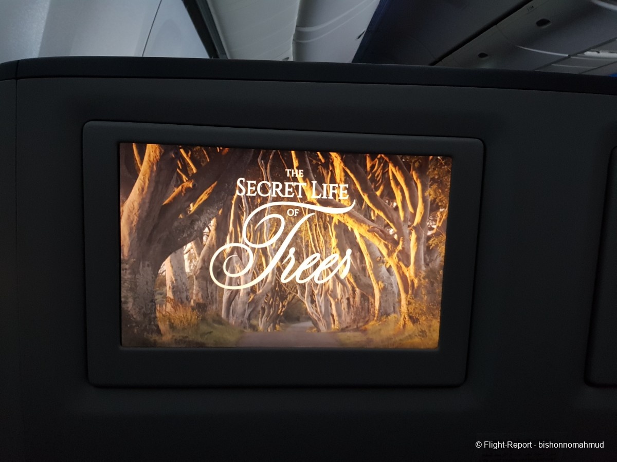 photo 20251117_125128