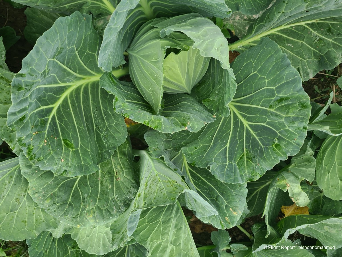 photo 20251226_114808