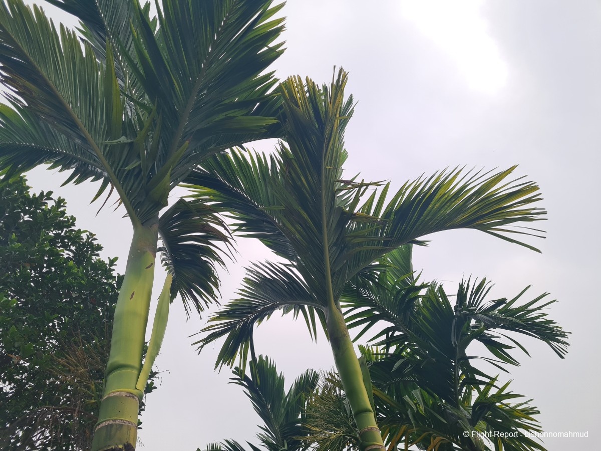 photo 20251226_115254