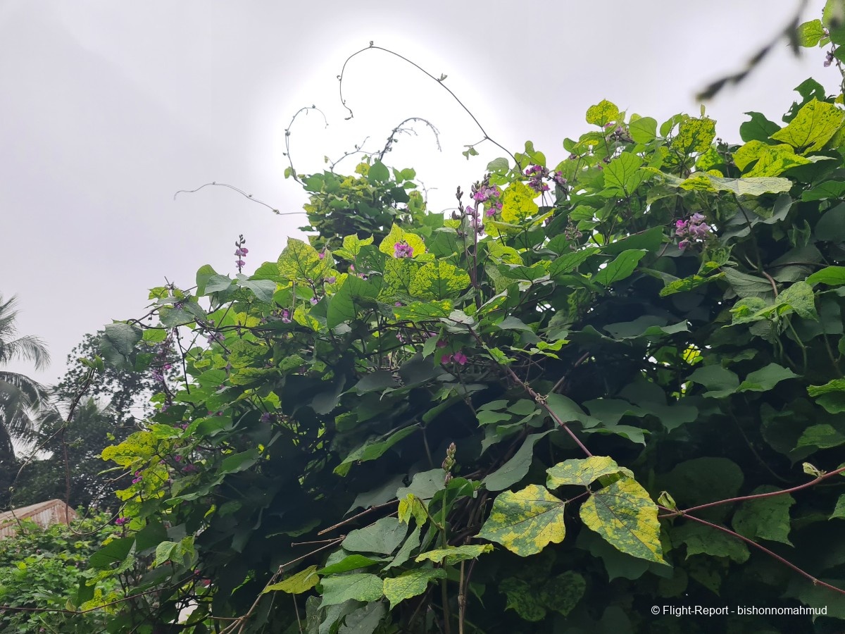 photo 20251226_120124