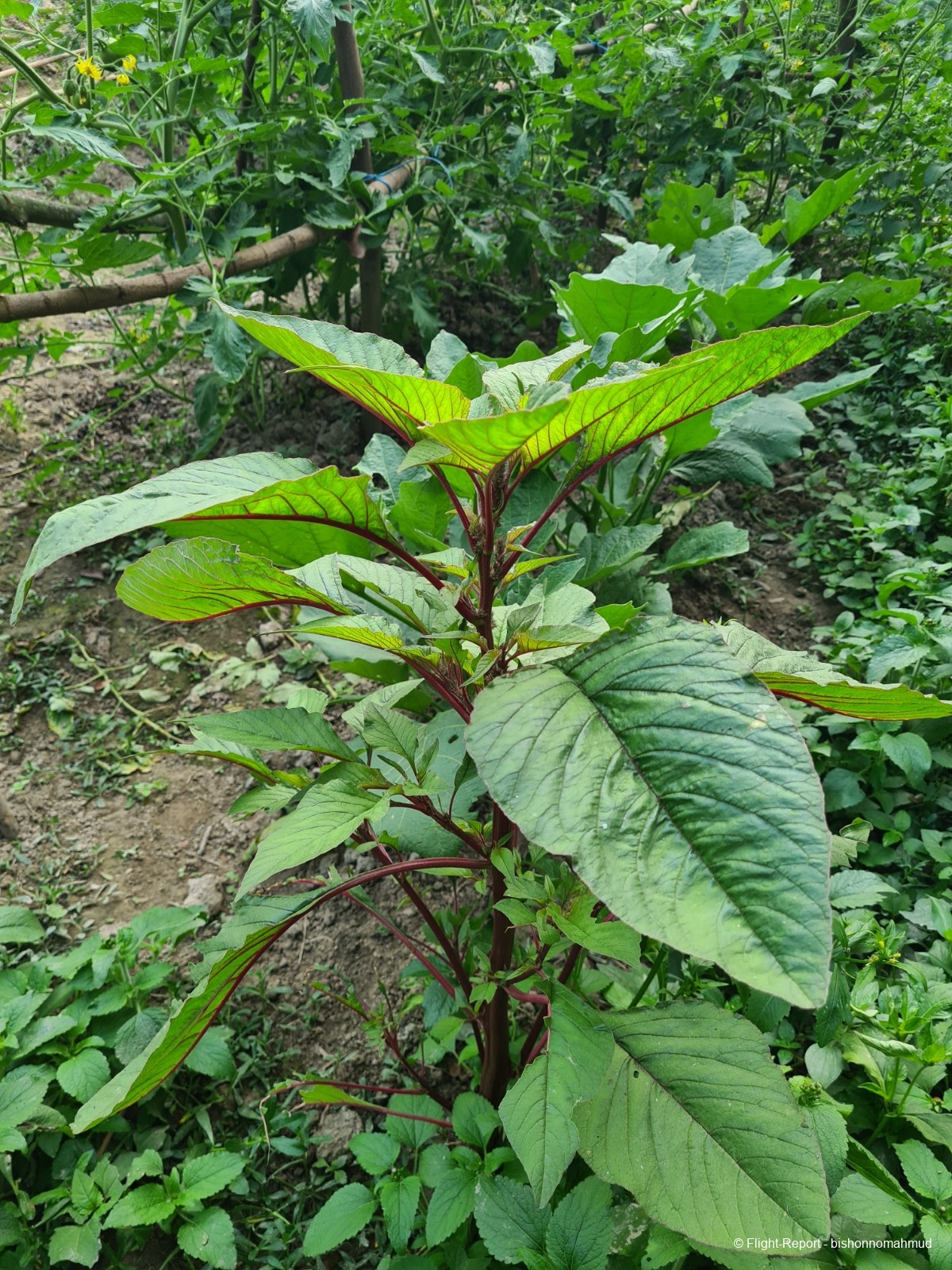 photo 20251226_153013