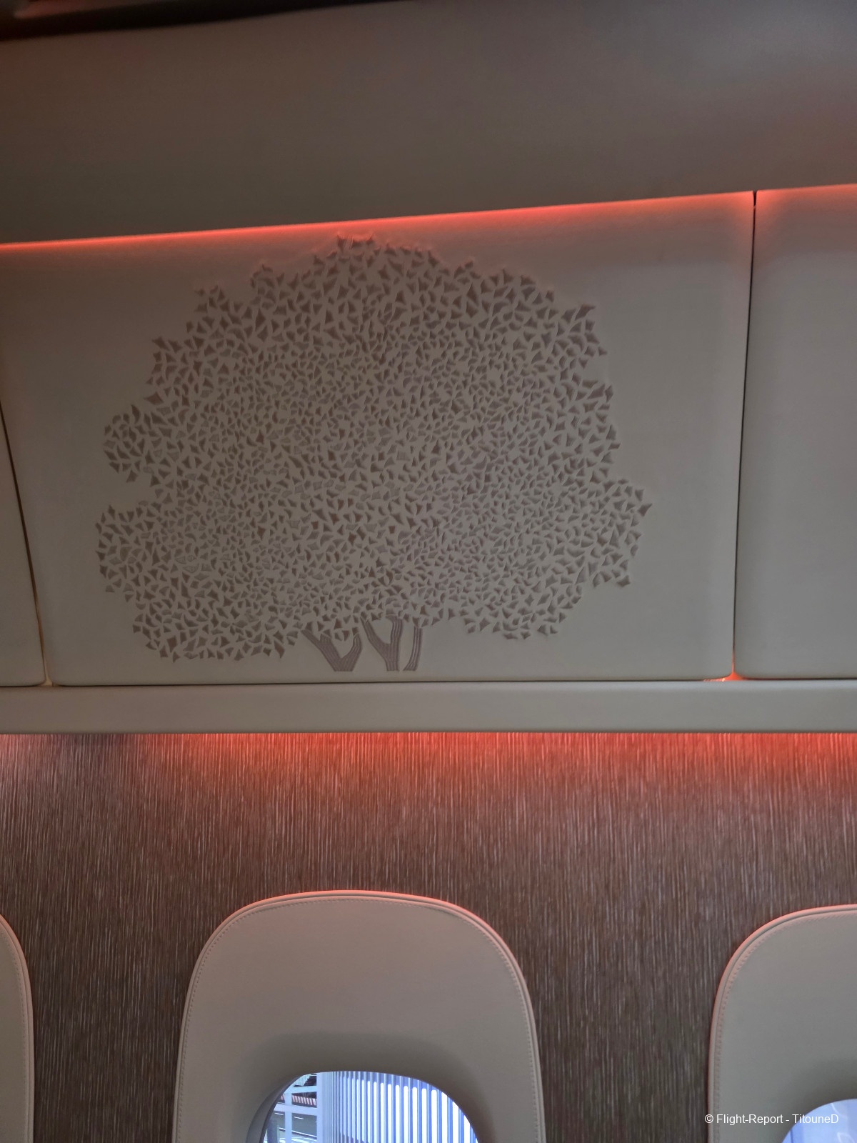 photo 20260225_195310