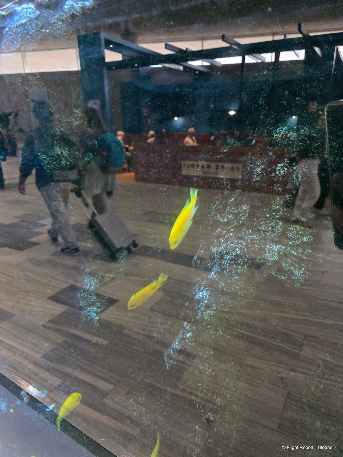 photo 20251220_141932