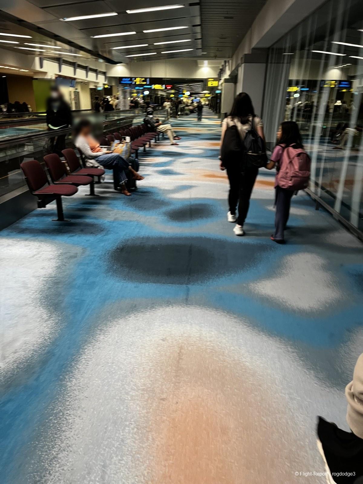 photo sin-arrival-97112