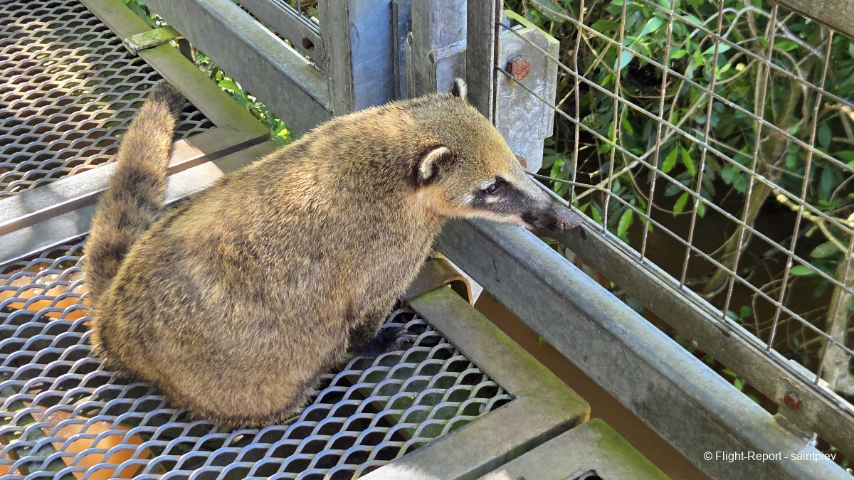 photo 20251014_100122