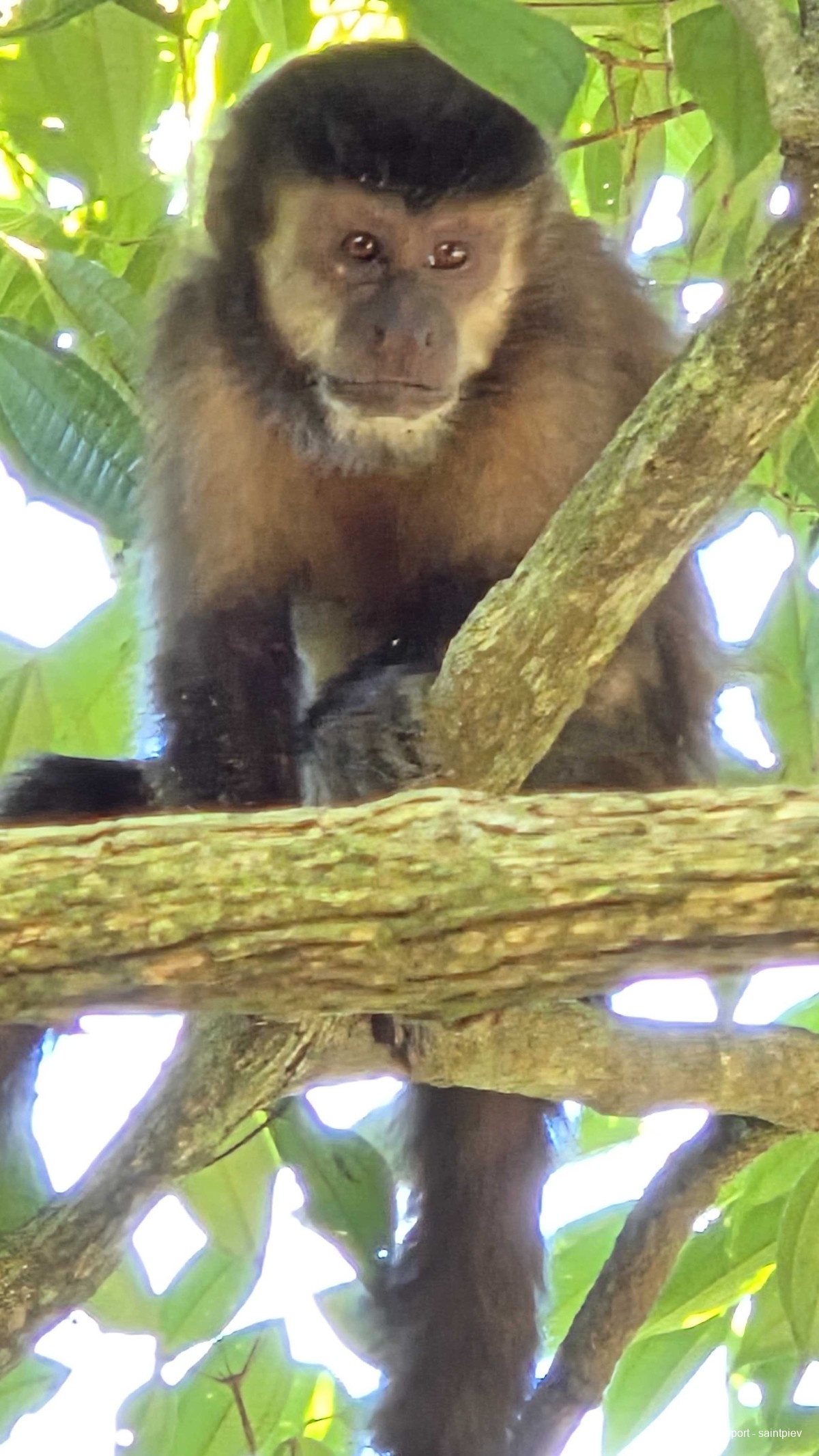 photo 20251014_115357
