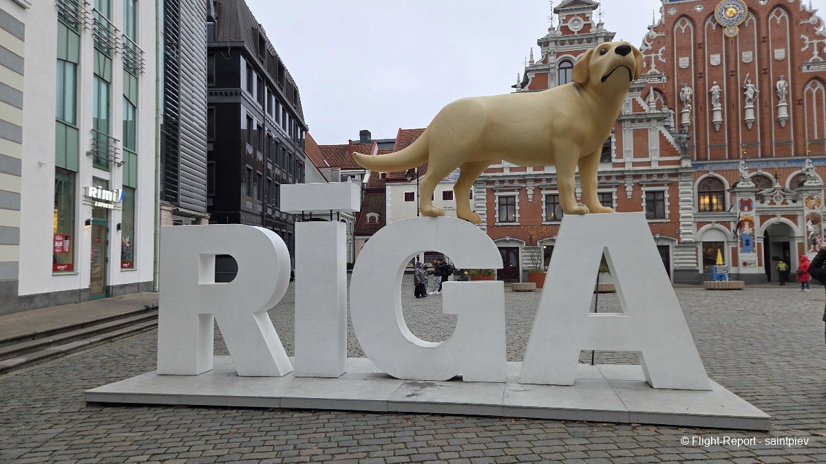 photo 20251109_123529