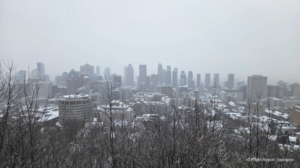 photo 20260117_105311