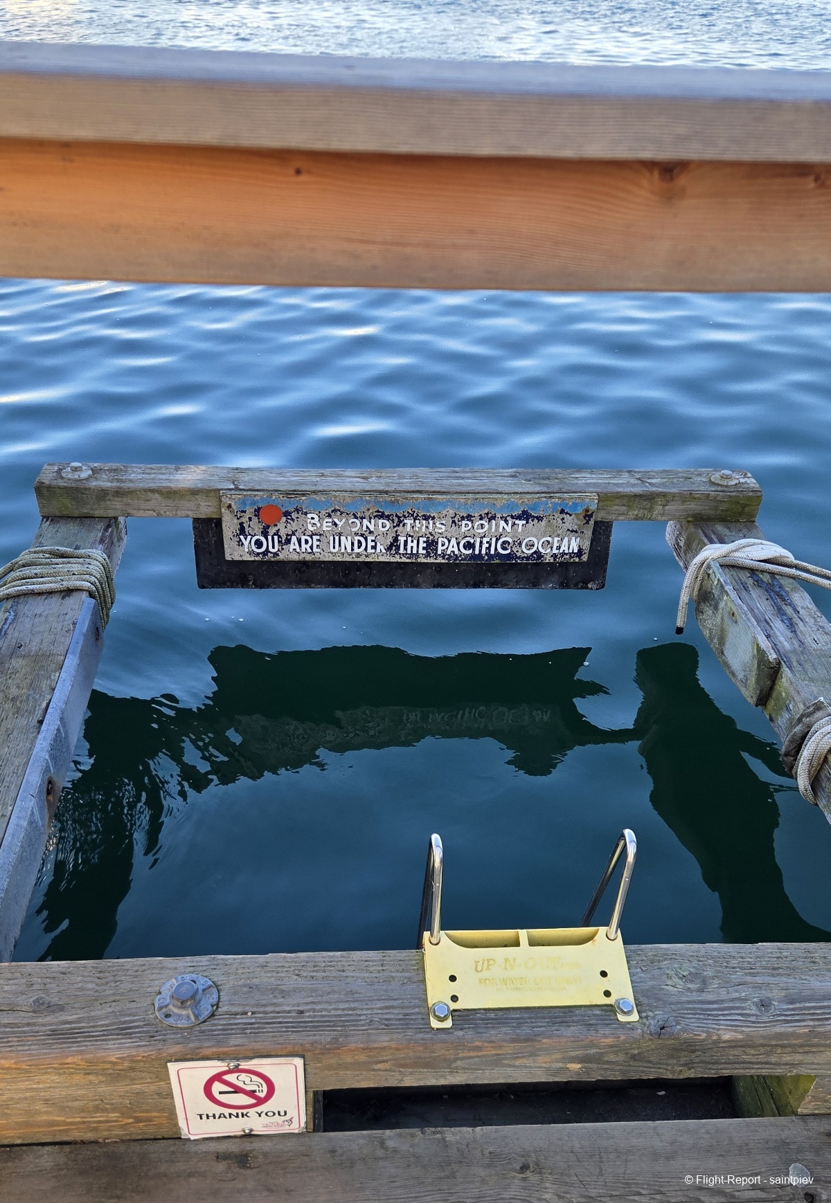 photo 20260123_132905