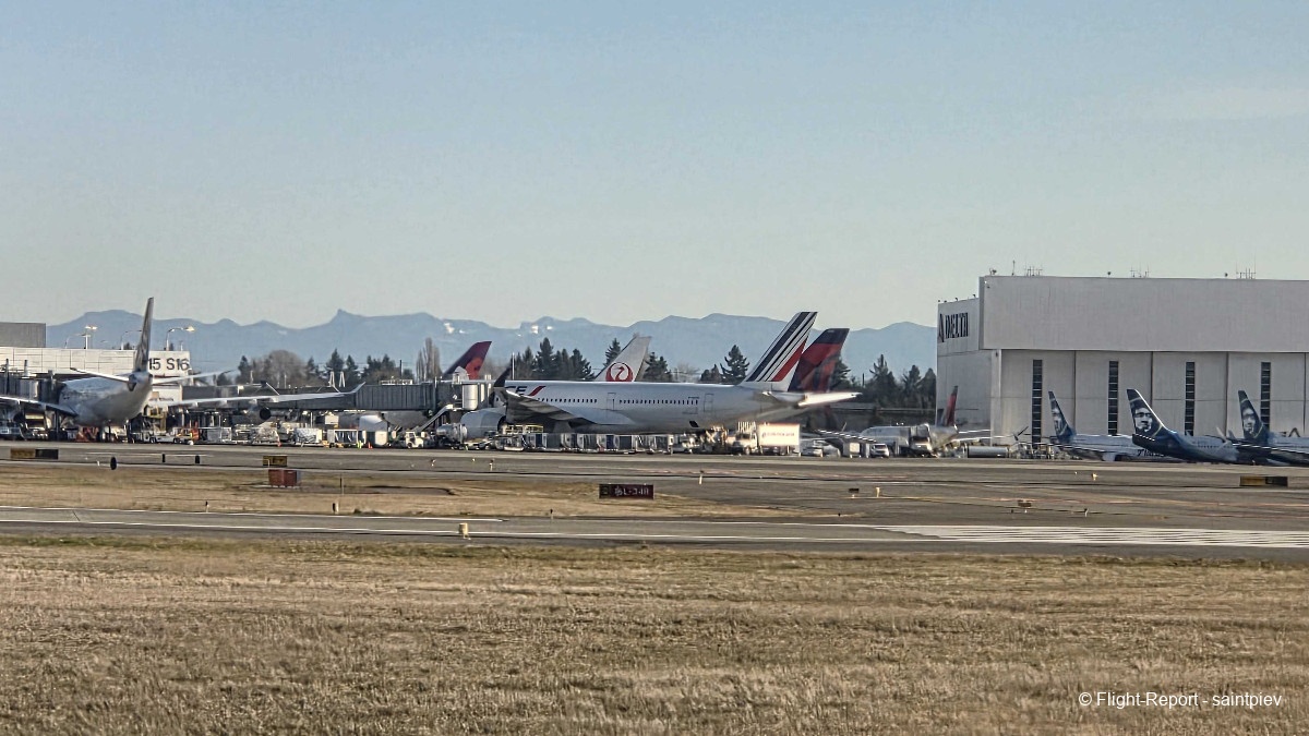 photo 20260124_123219