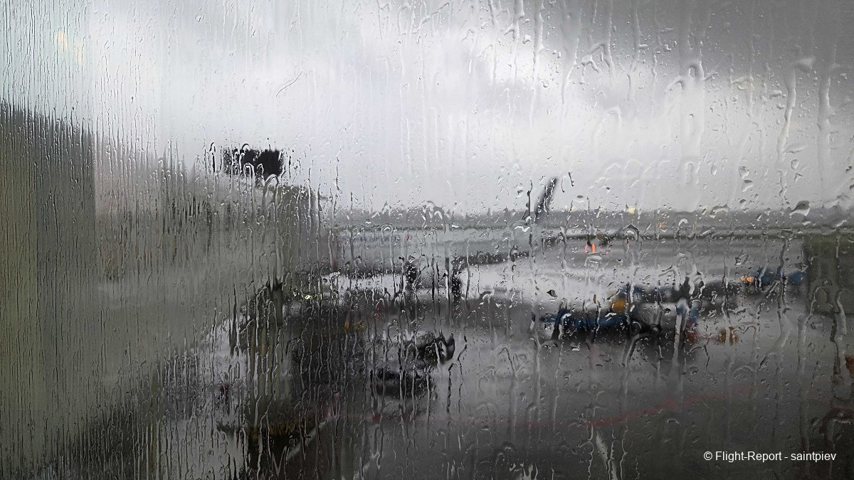 photo 20260313_082938