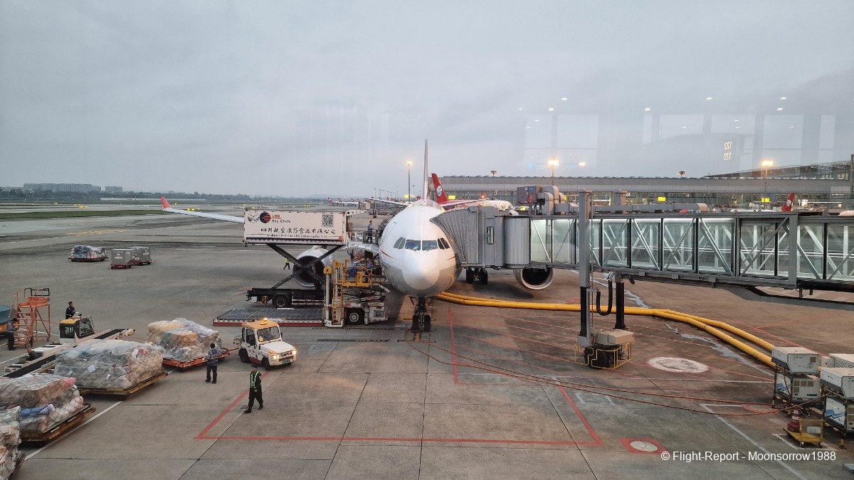 photo 20251017_072813