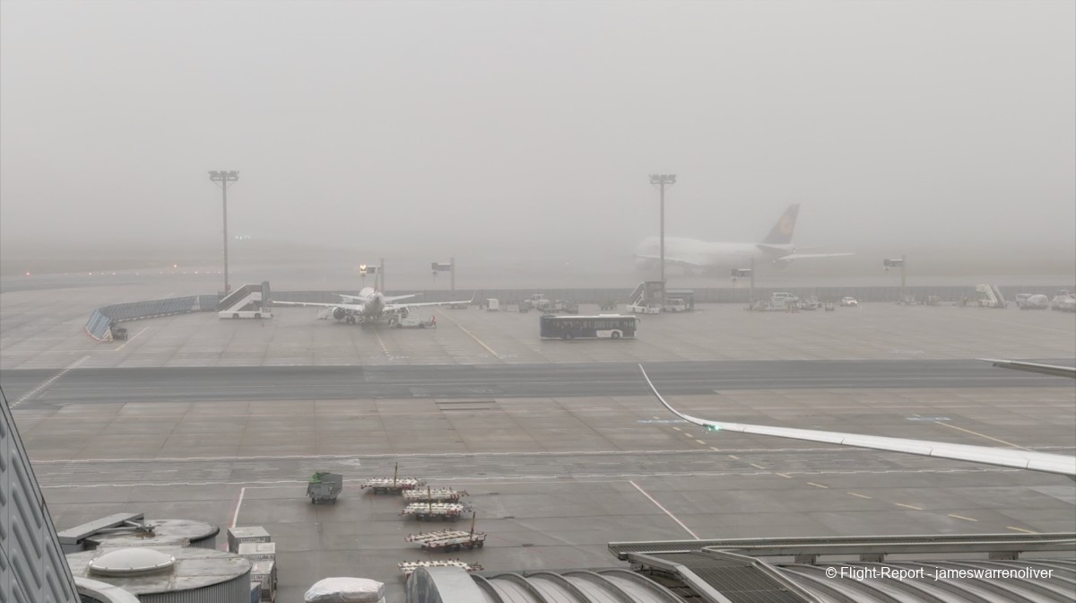 photo screenshot-2026-02-01-at-174421