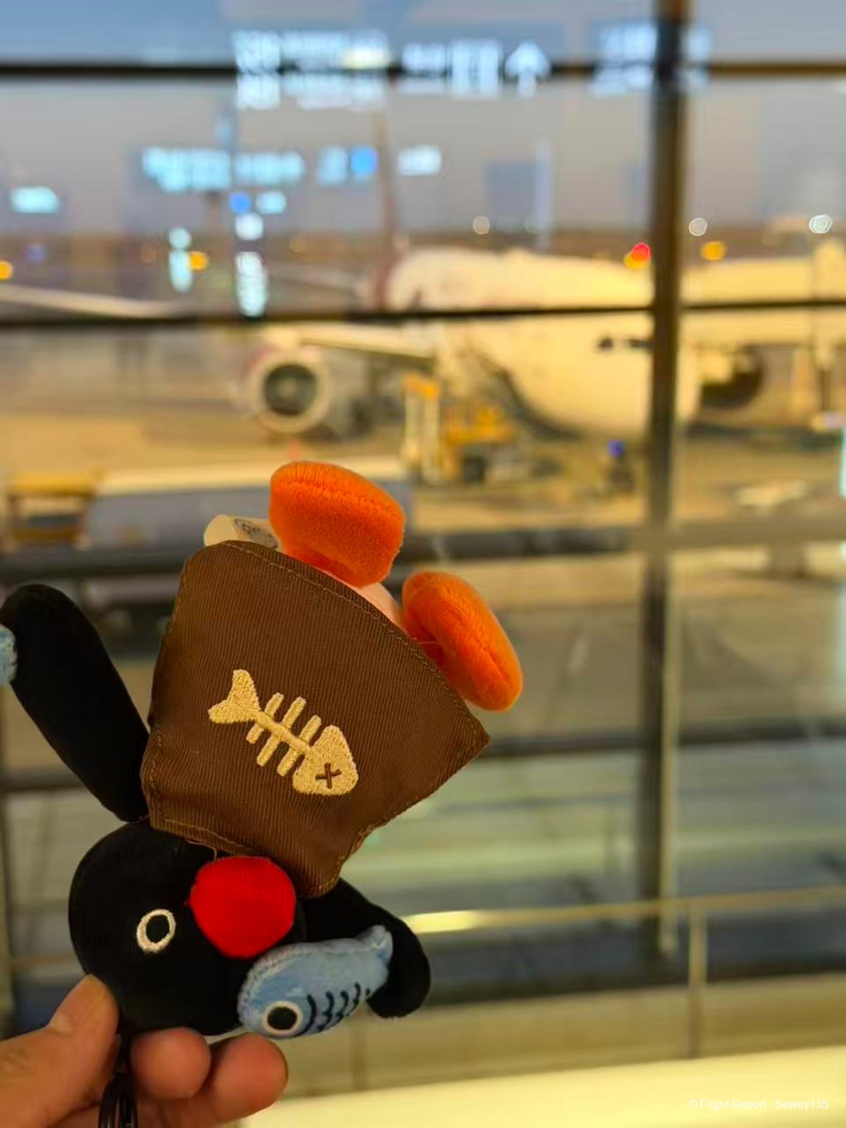 photo 17931763082613_pic