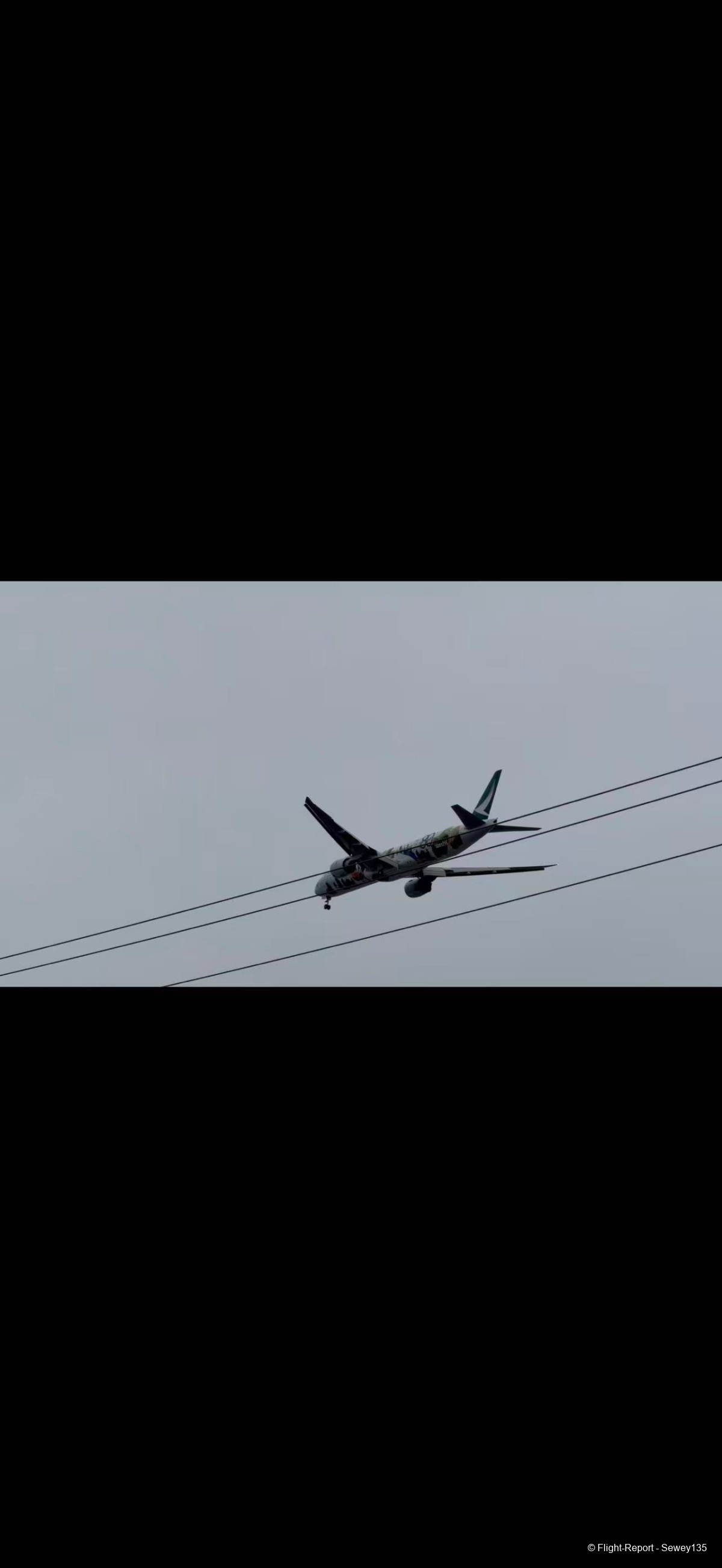 photo 31361773861551_pic