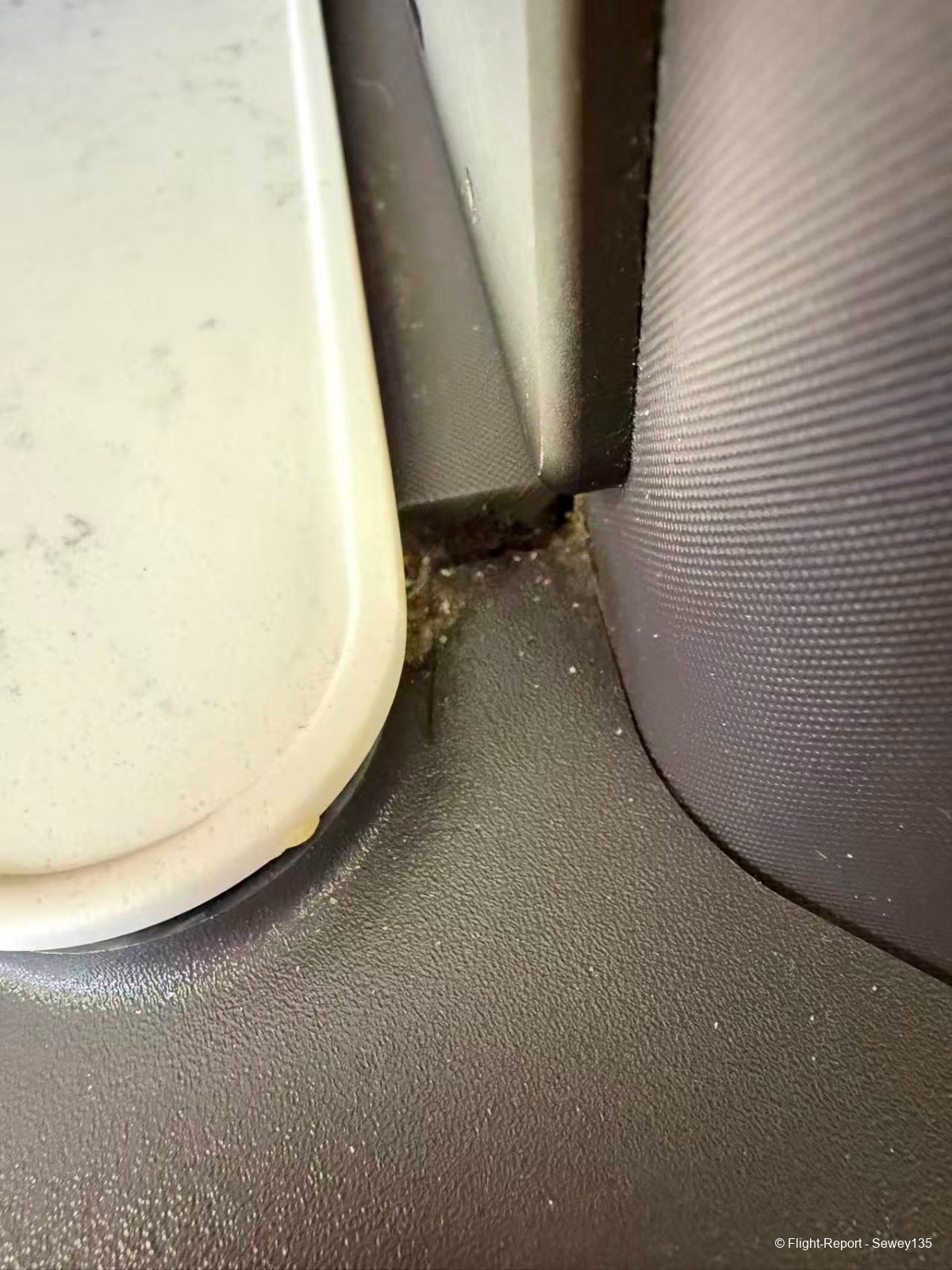 photo 43291780564479_pic