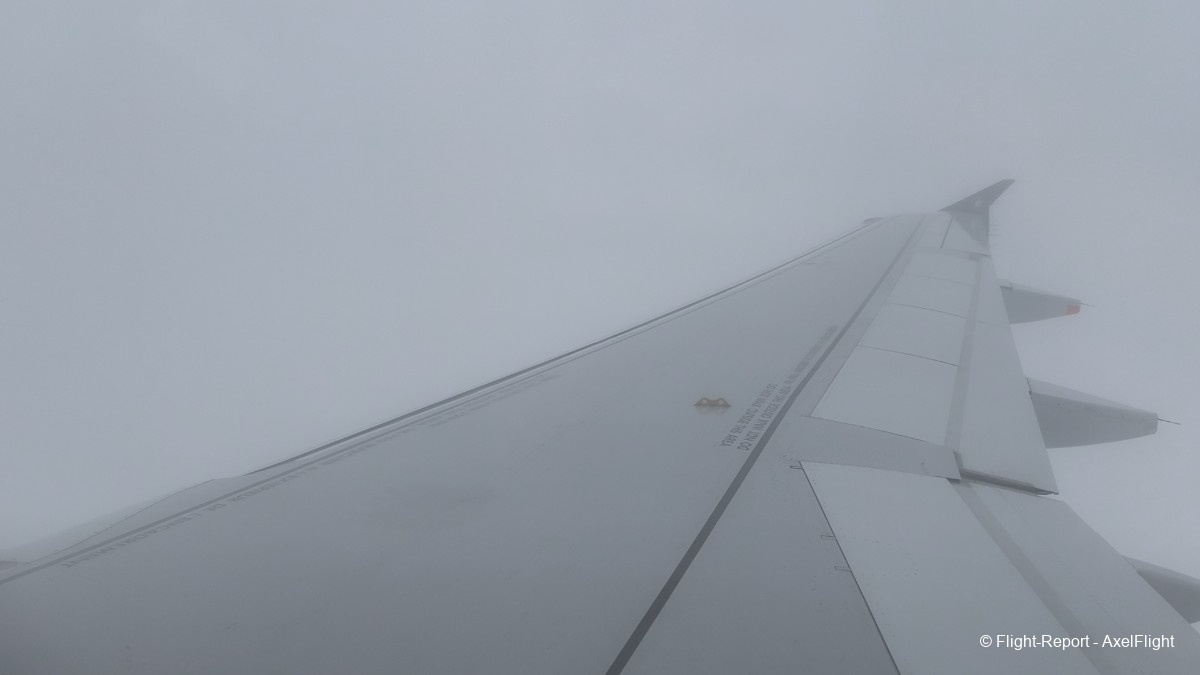 photo 1000066239