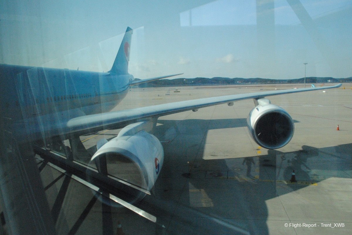 photo dsc_090946
