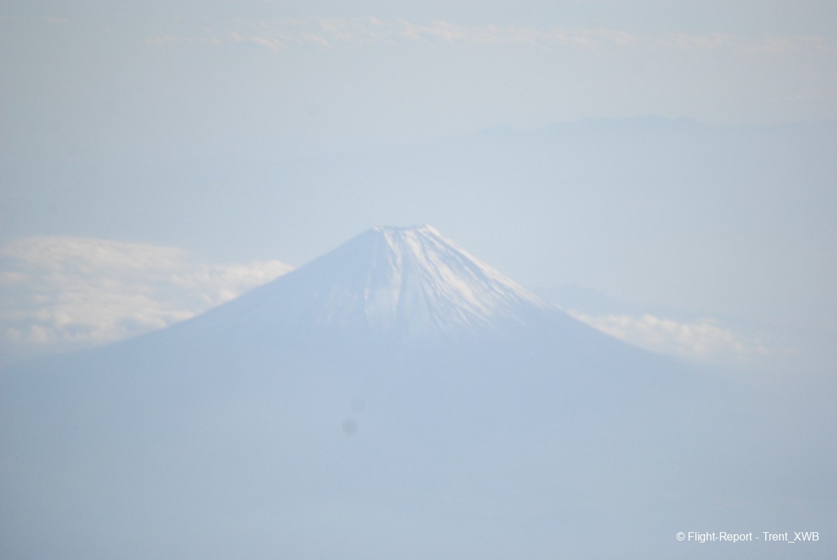 photo dsc_154395