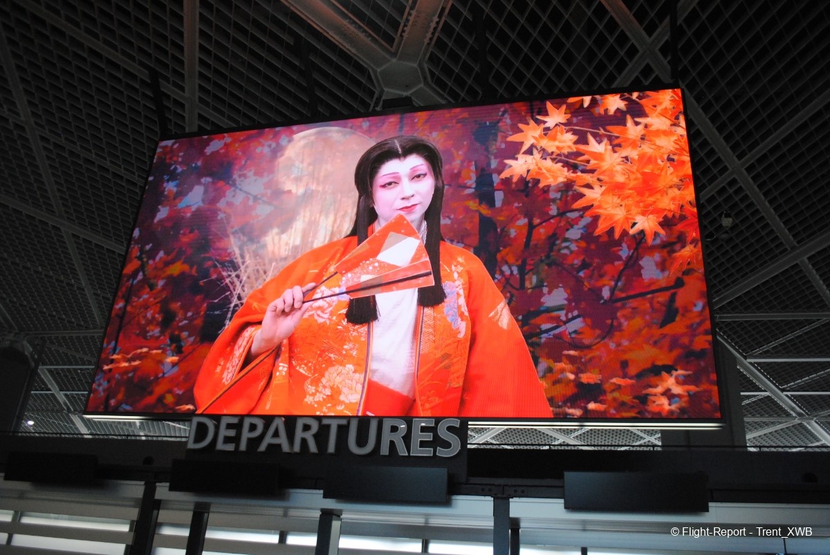 photo dsc_191119
