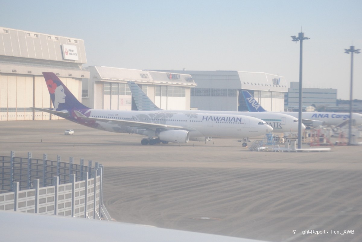 photo dsc_192663