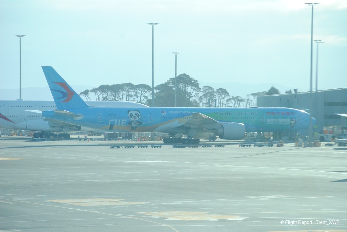 photo dsc_010645