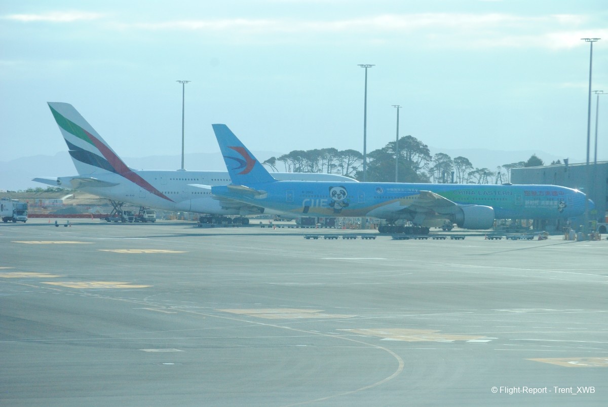 photo dsc_010648