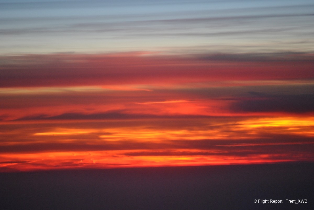 photo dsc_17193