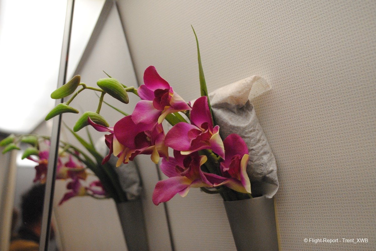 photo dsc_083038