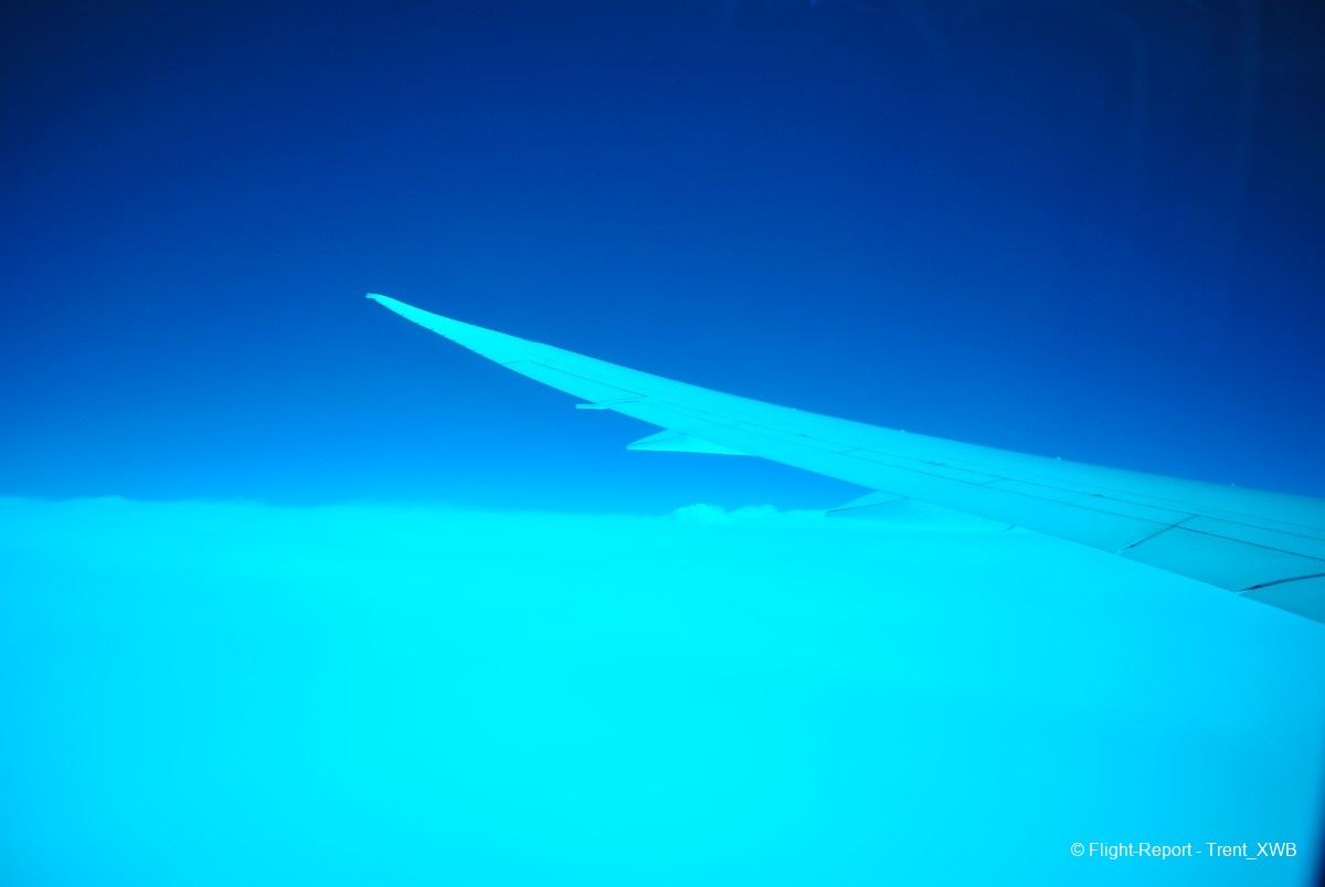 photo dsc_5294