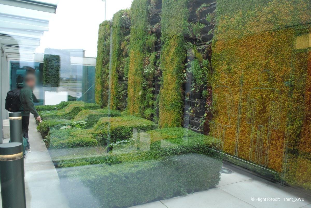 photo dsc_08639-26667