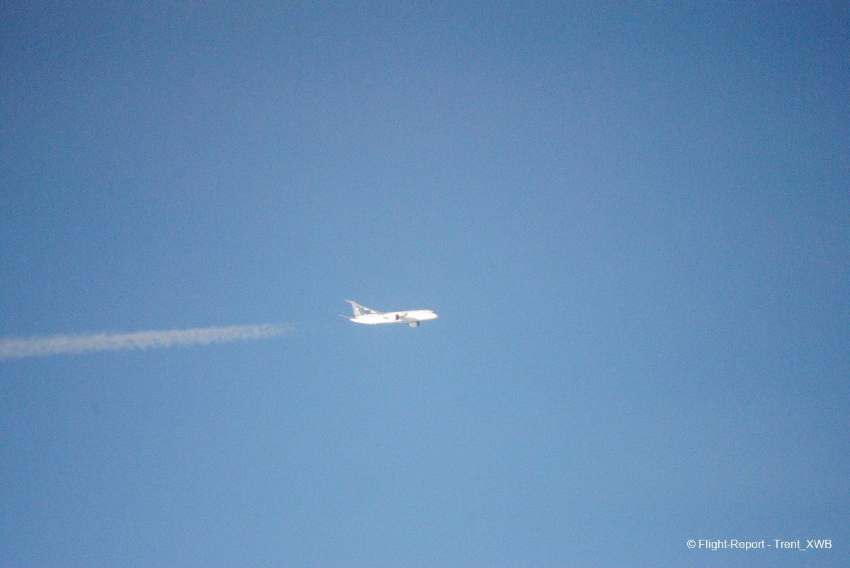 photo dsc_26239