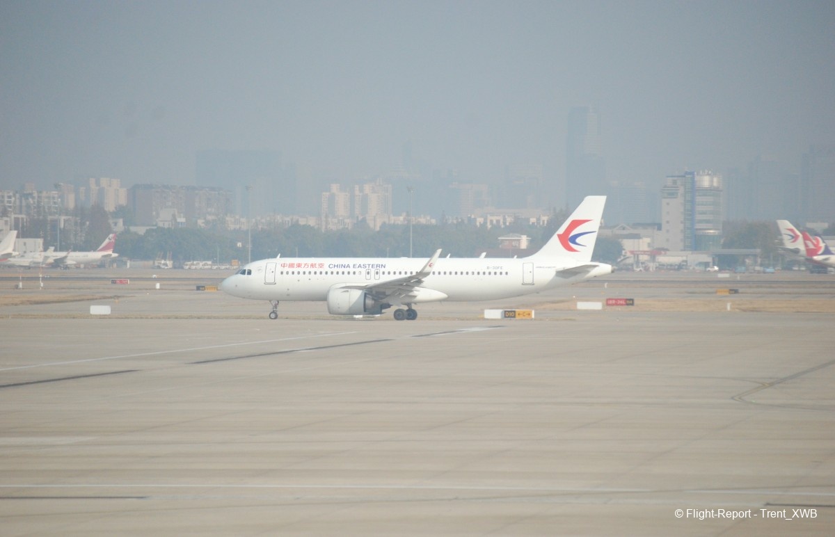 photo dsc_3919