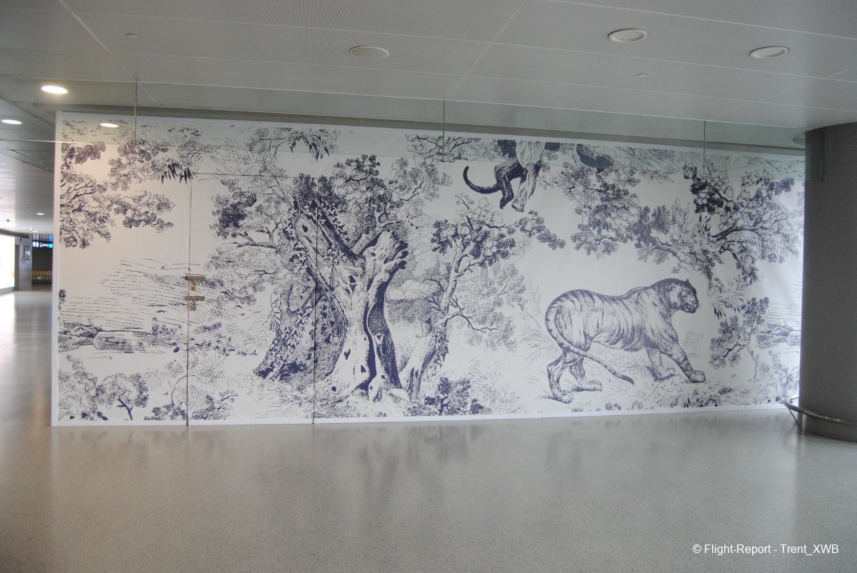 photo dsc_4428