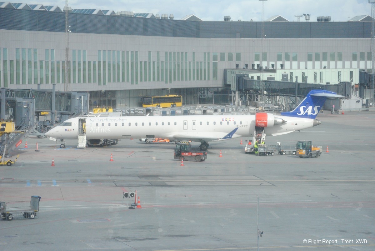 photo dsc_03984