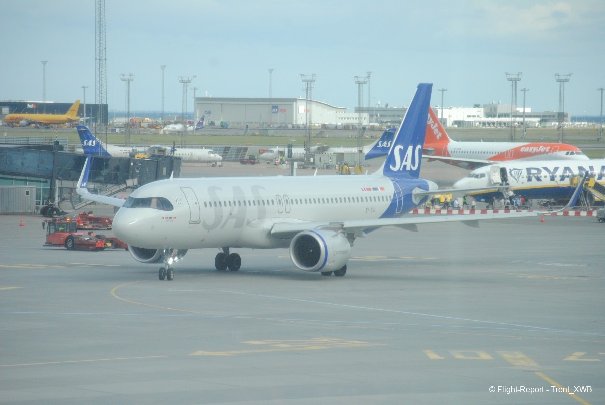 photo dsc_03998